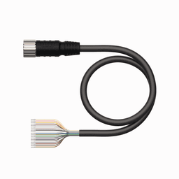 Thumbnail for CKM19-19-40/TXL