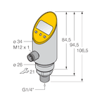 PS010V-304-2UPN8X-H1141