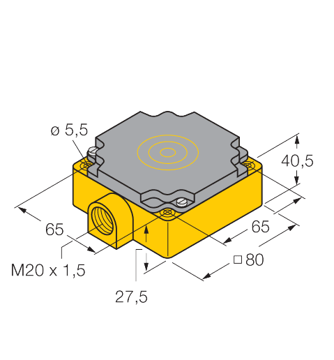 NI40-CP80-Y1/S100